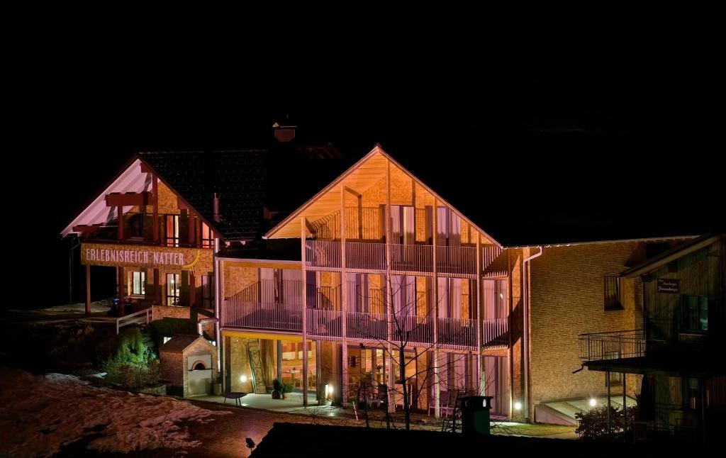N Apartments Hotel Schoppernau Luaran gambar