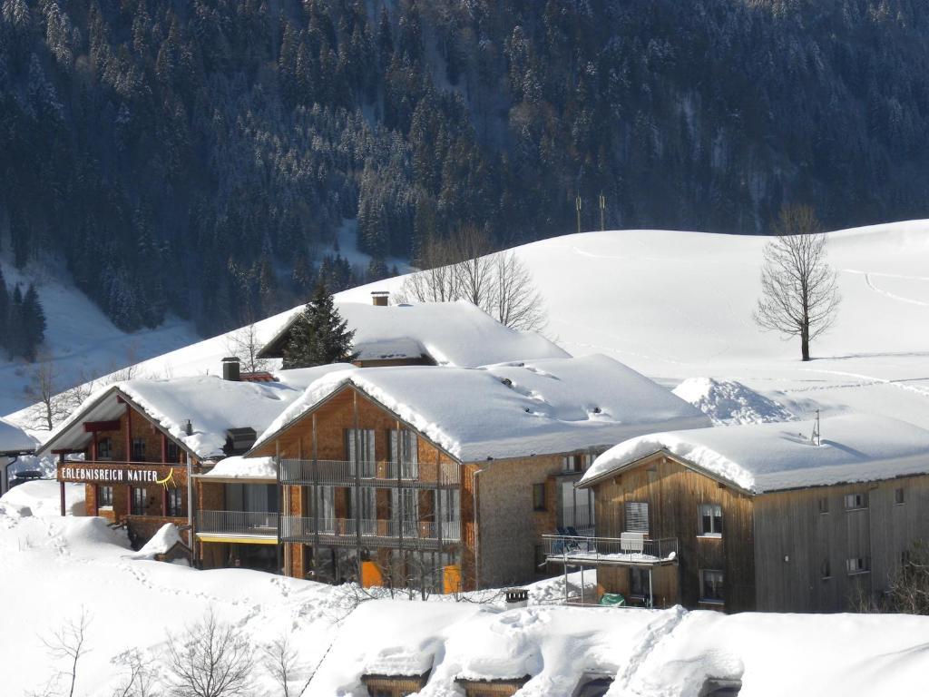 N Apartments Hotel Schoppernau Luaran gambar